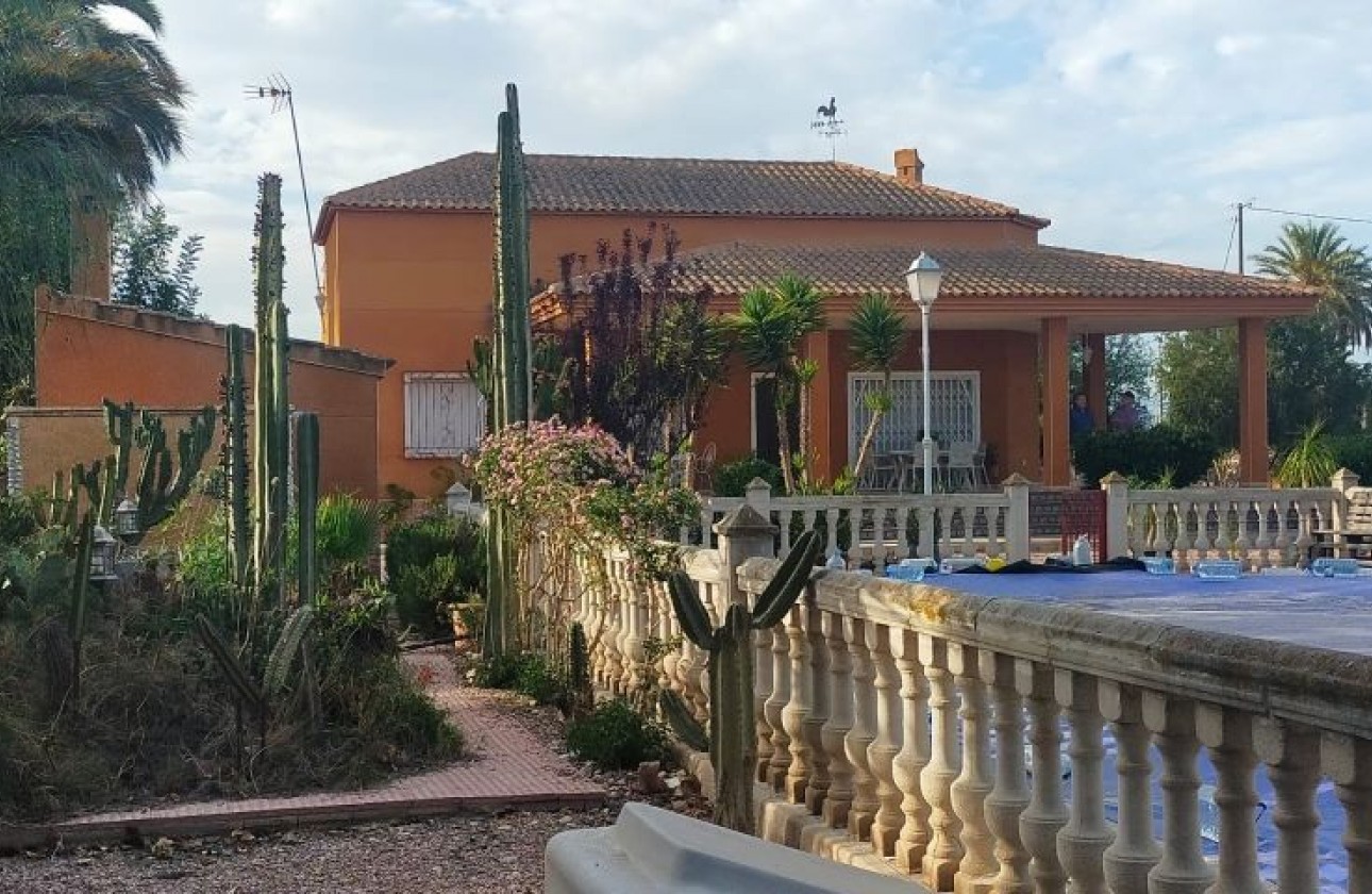 Resale - Detached Villa - Elche