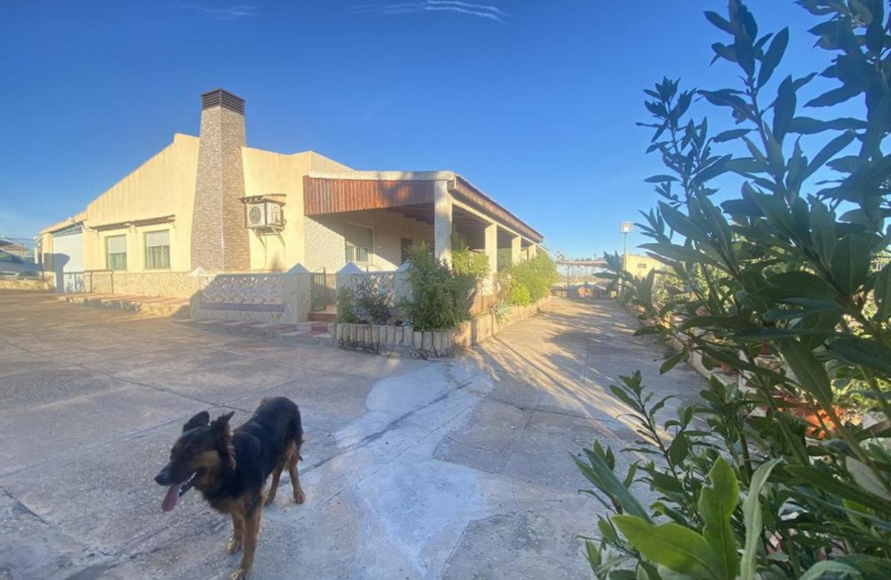 Resale - Detached Villa - Gea Y Truyols - Gea y Trujols