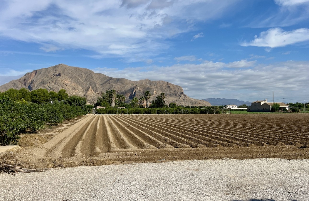 Resale - Detached Villa - Orihuela Costa - Orihuela