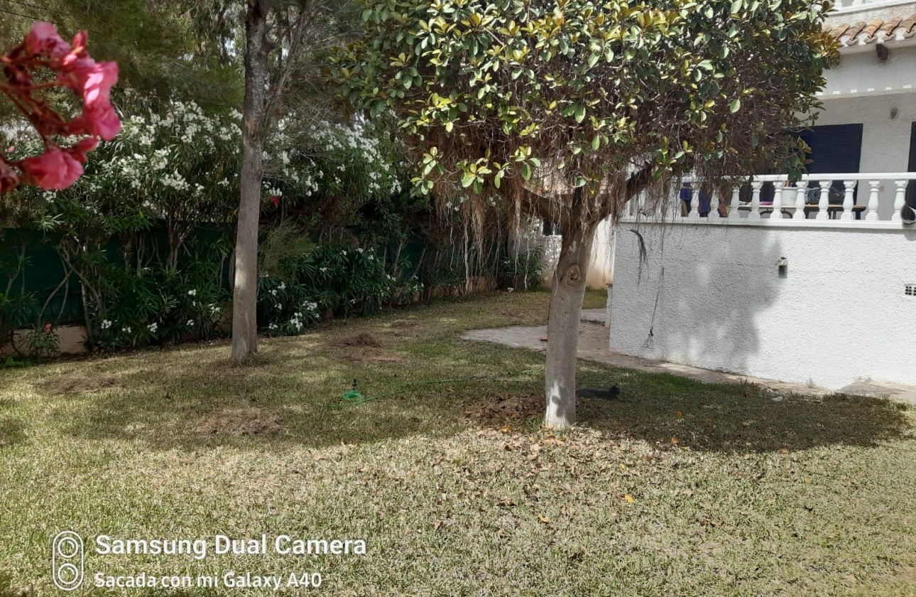 Resale - Detached Villa - Orihuela Costa - Playa Flamenca Norte