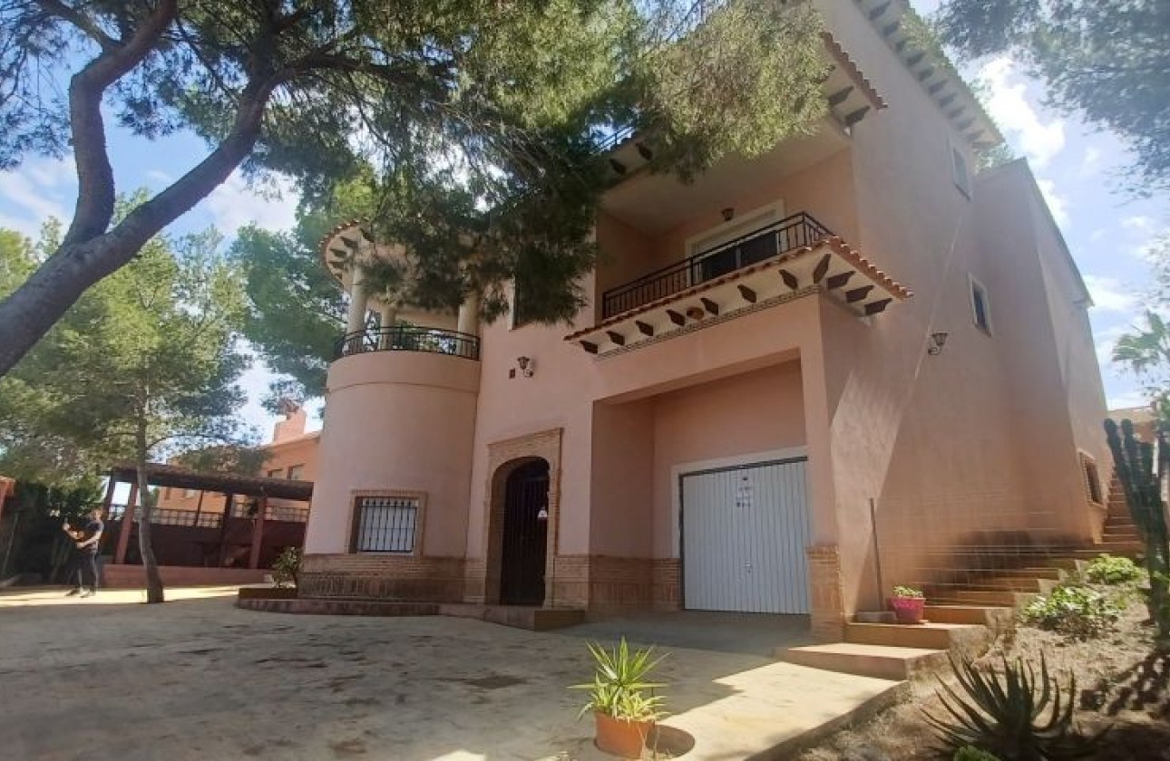 Resale - Detached Villa - San Miguel de Salinas