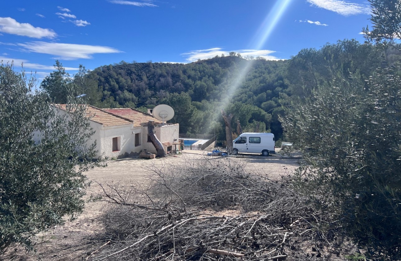 Resale - Detached Villa - Torremendo