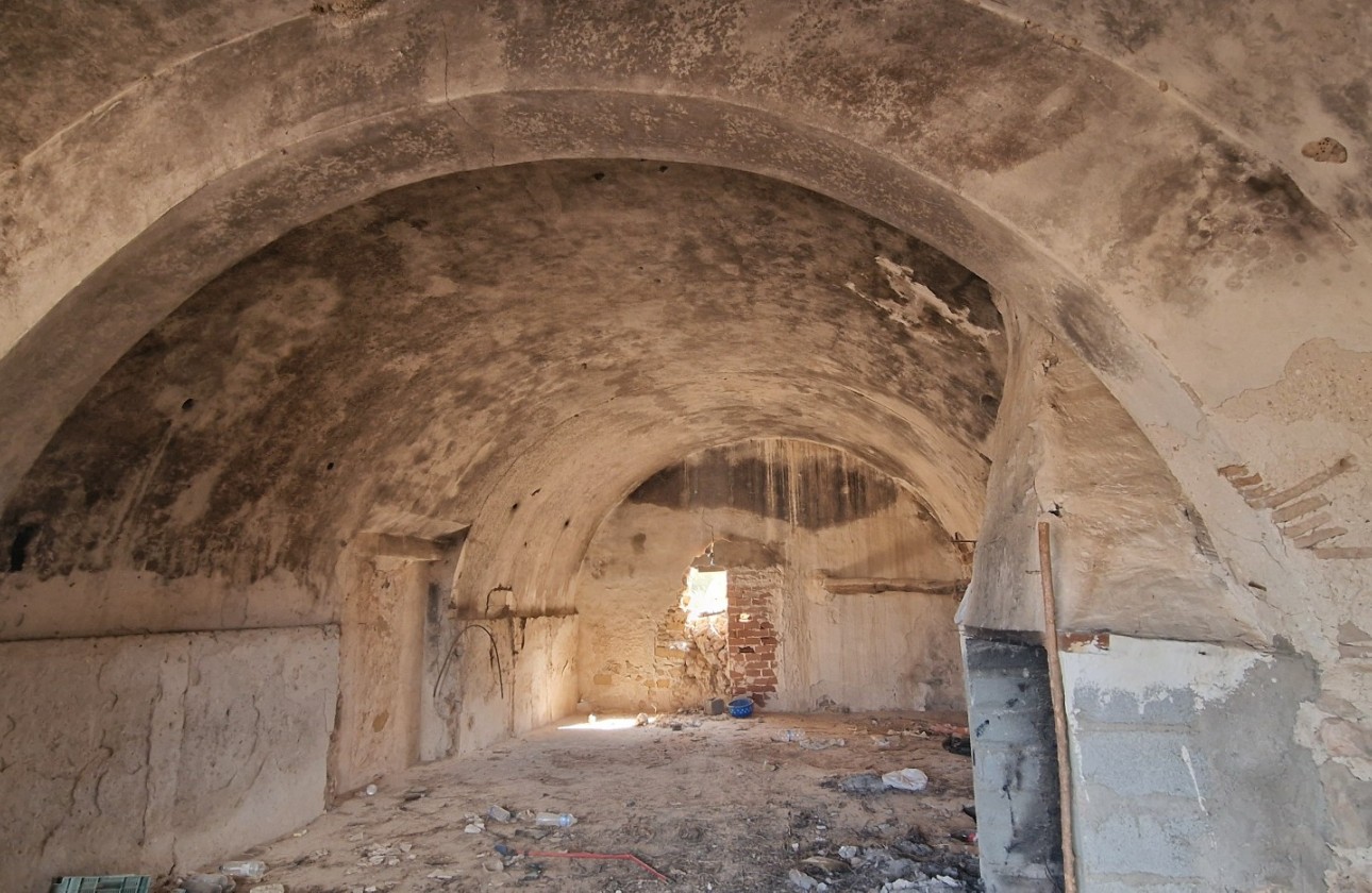 Resale - Finca / Country Property - San Miguel de Salinas