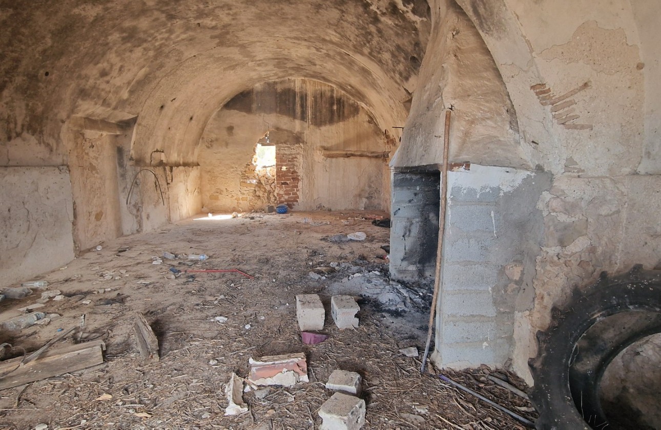 Resale - Finca / Country Property - San Miguel de Salinas