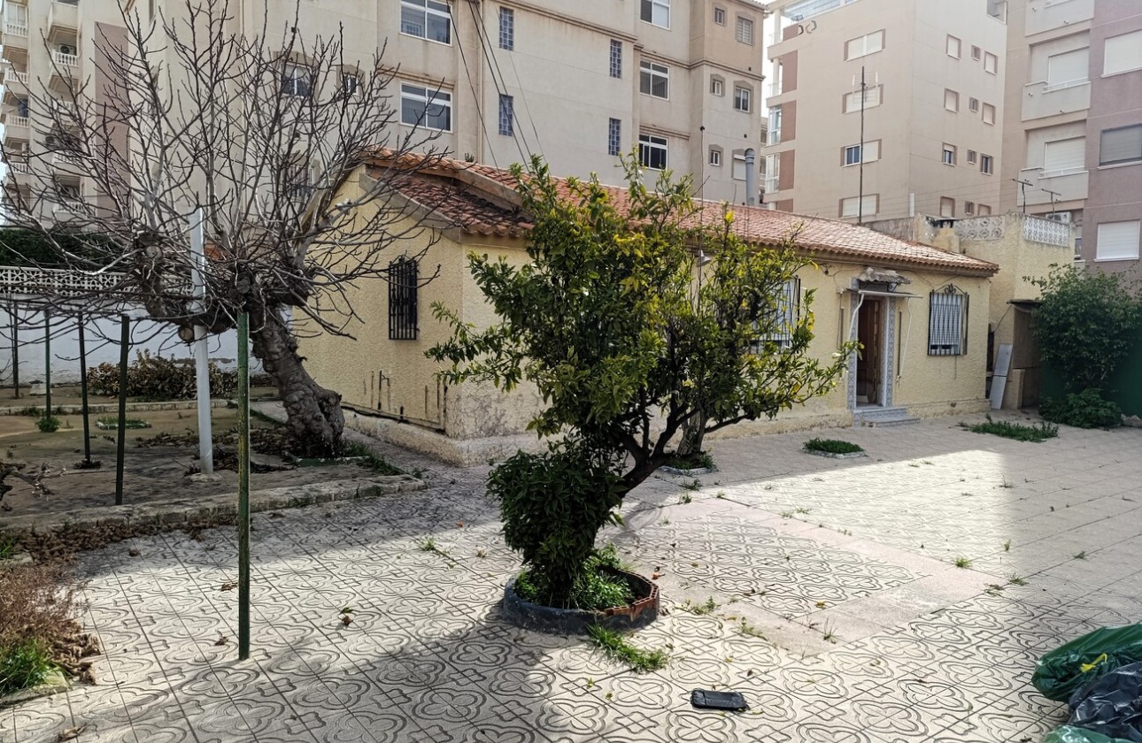 Resale - Finca - Torrevieja - Nueva Torrevieja