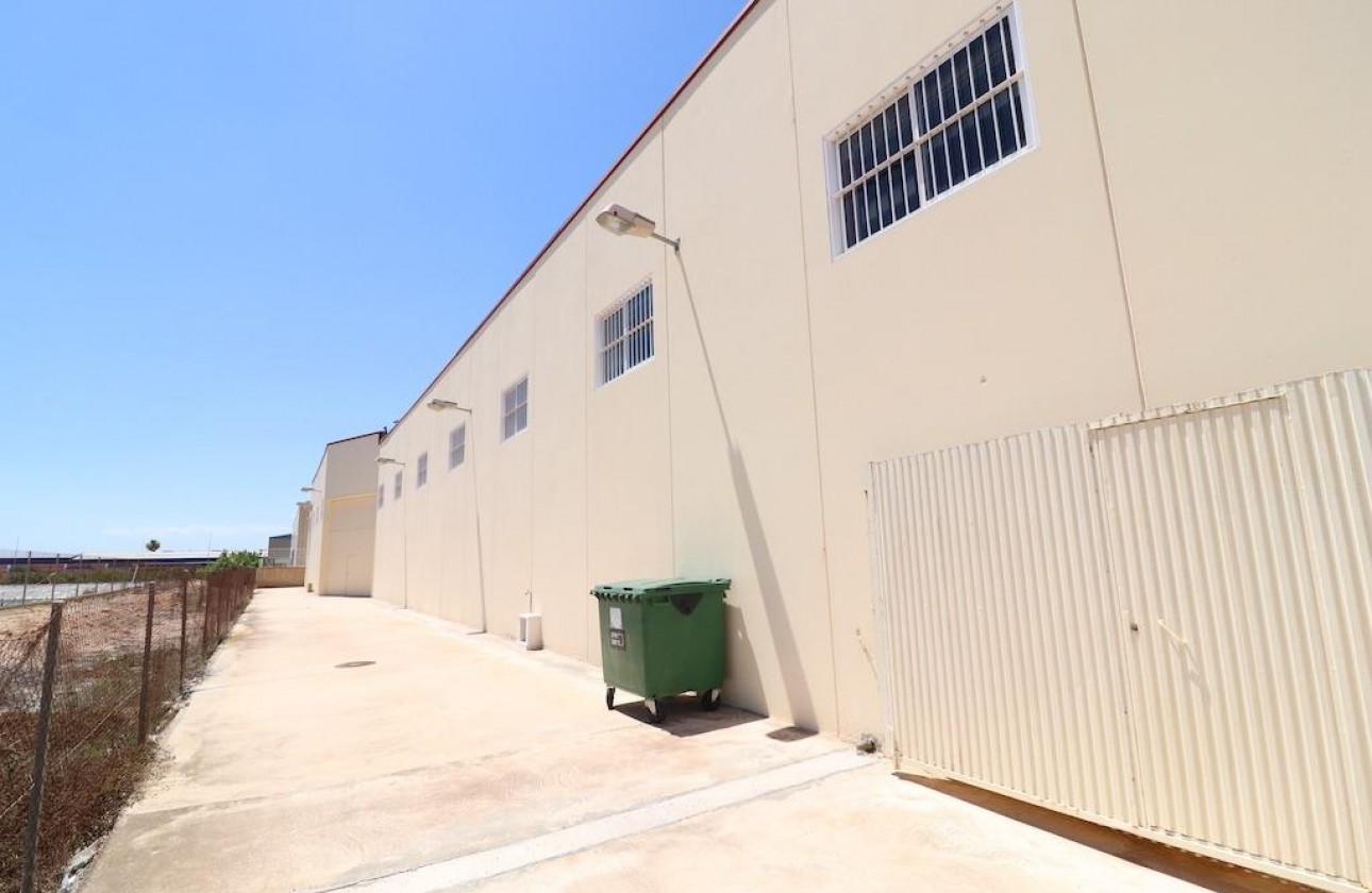 Resale - Industrial unit - Los Montesinos - Centro