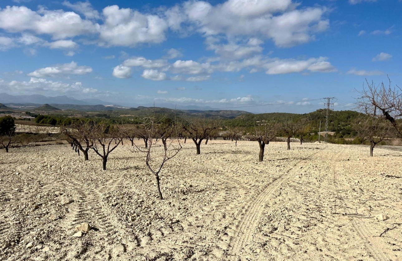 Resale - Plot - BULLAS - Costa Calida