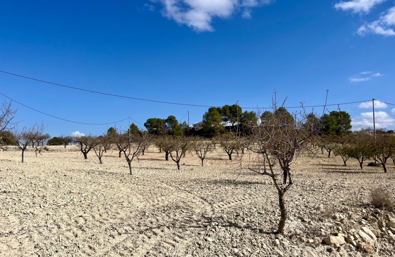 Resale - Plot - BULLAS - Costa Calida