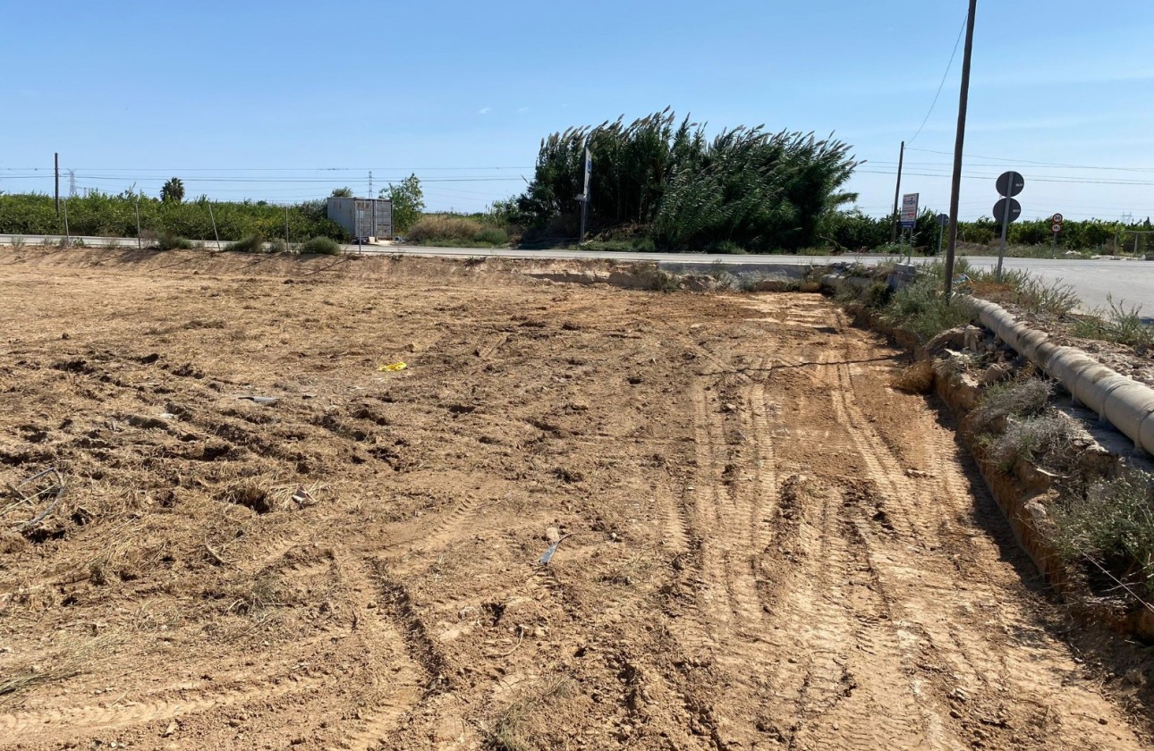 Resale - Plot - San Miguel de Salinas - San Miguel Salinas