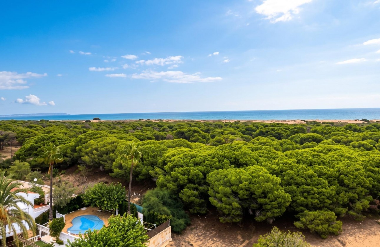 Resale - Studio apartment  - Guardamar del Segura - Lomas de Polo-Pinomar