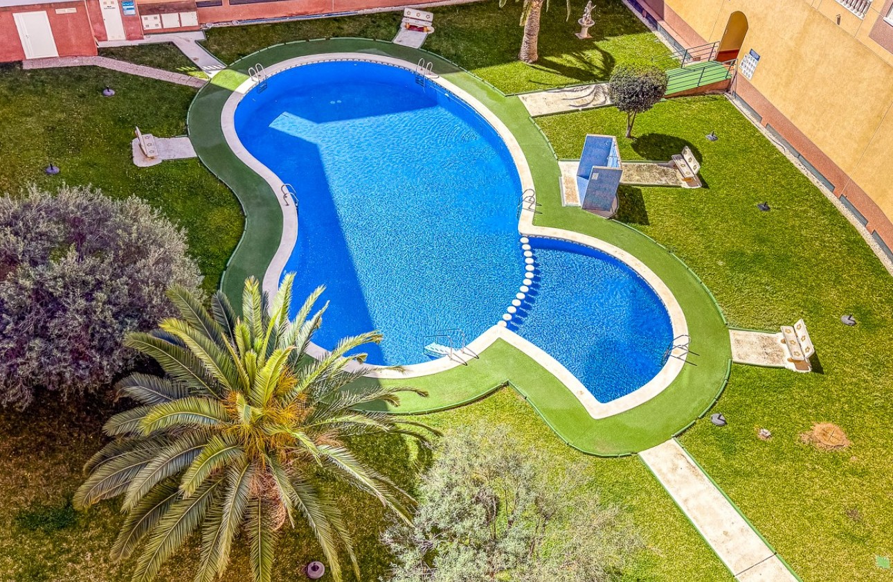Revente - Appartement - Torrevieja - Costa Blanca