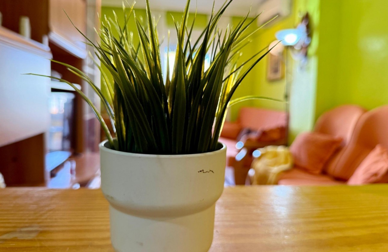 Revente - Appartement - Torrevieja - El molino