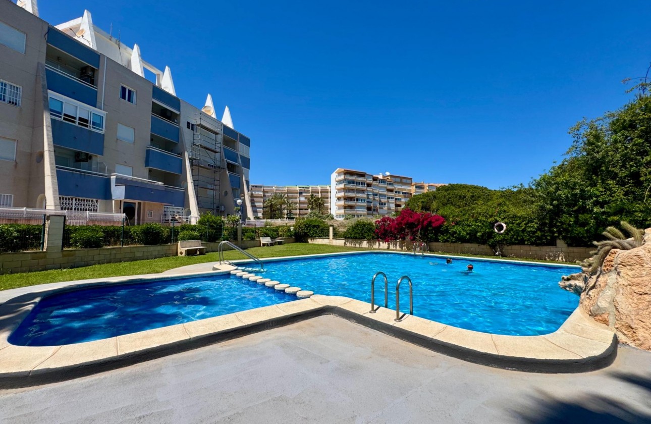 Revente - Appartement - Torrevieja - Gaspar Perrelló