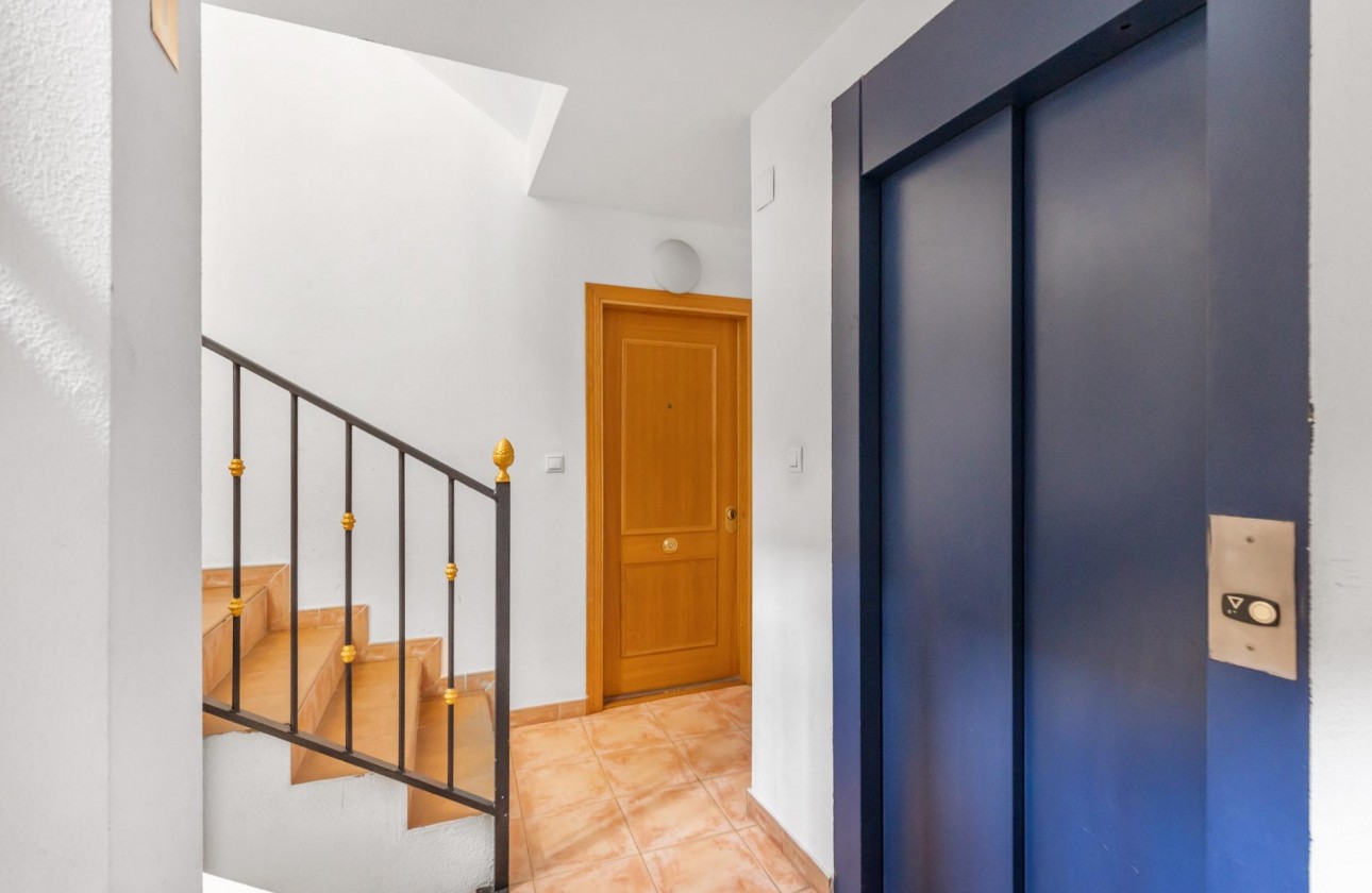 Revente - Appartement - Torrevieja - torrevieja