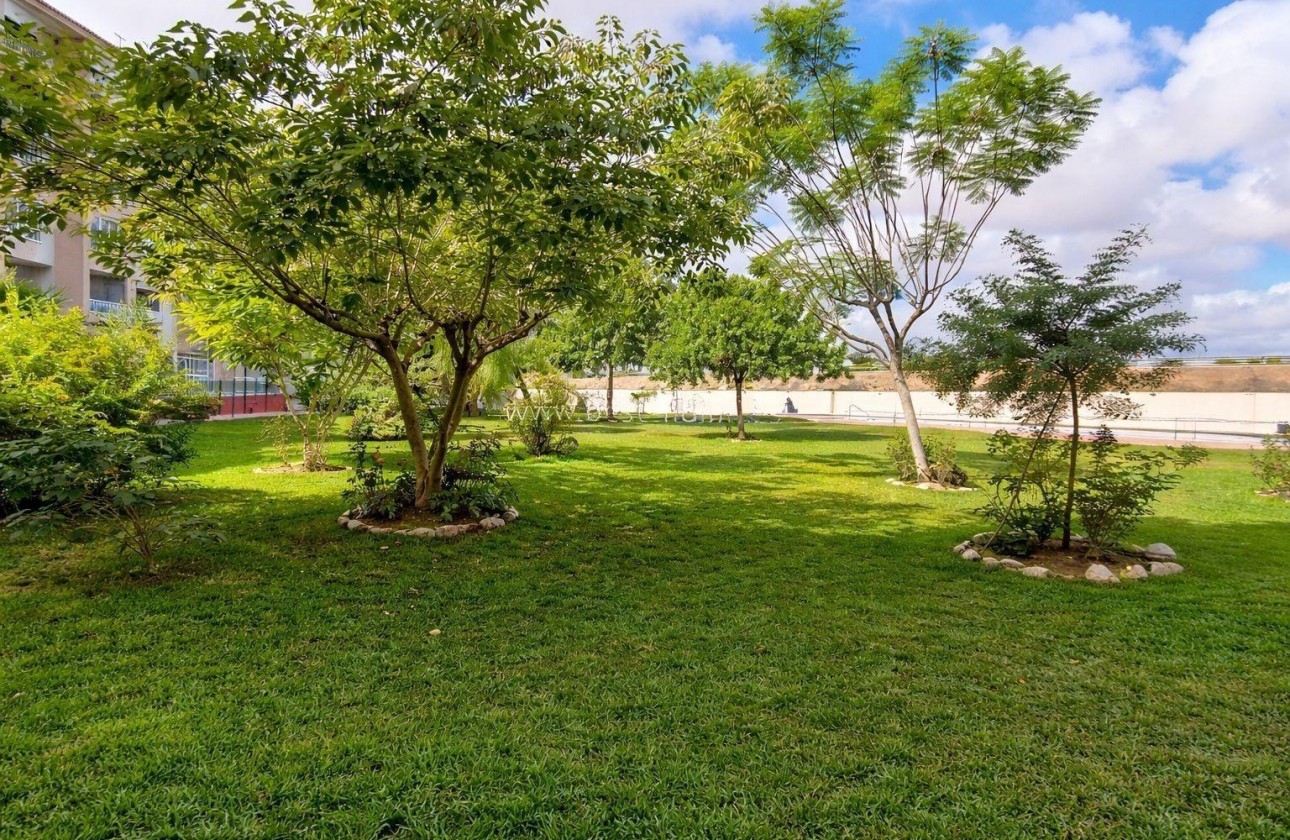 Revente - Appartement - Torrevieja - torrevieja