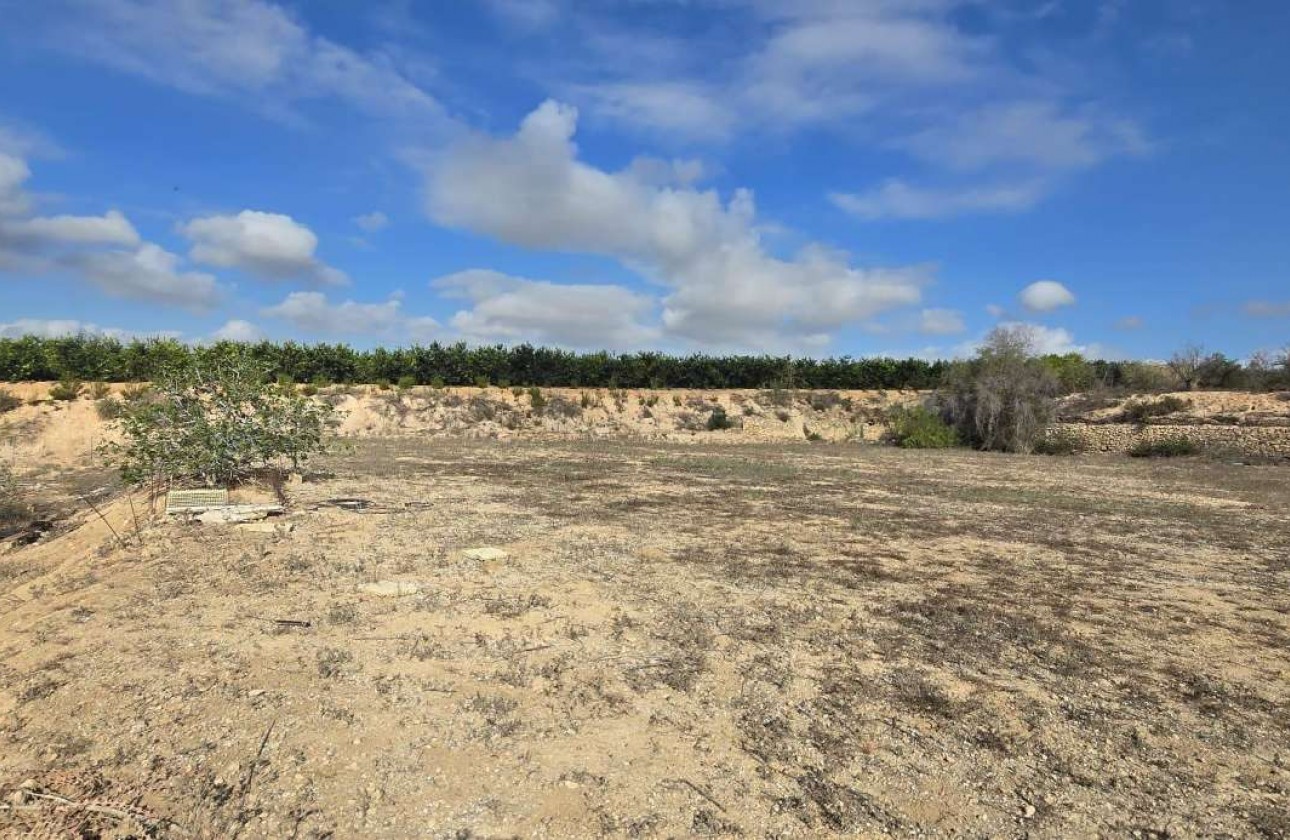 Revente - Country Property - Los Montesinos