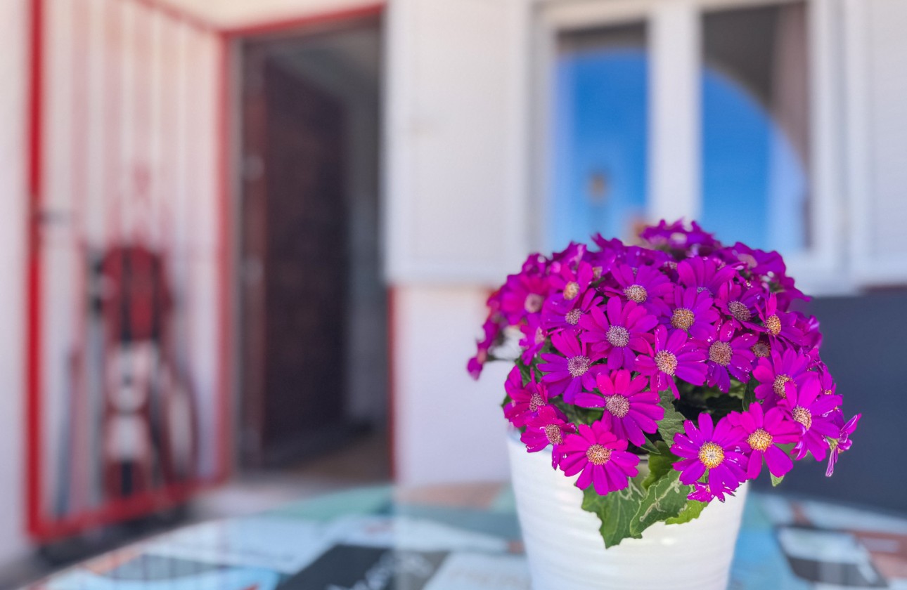 Revente - Duplex - Torrevieja - Cabo cervera