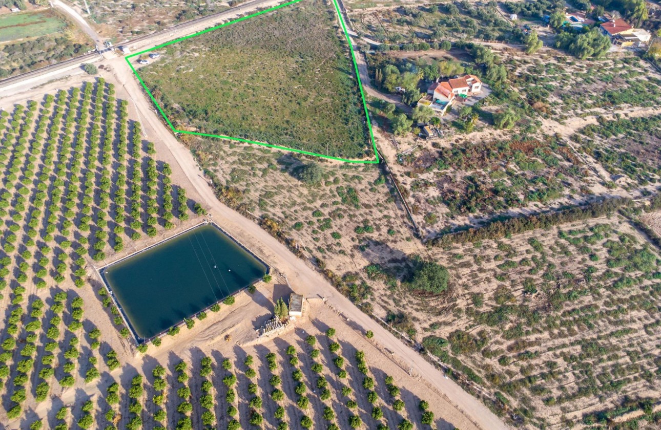 Revente - Finca - Crevillent - Comunidad valenciana