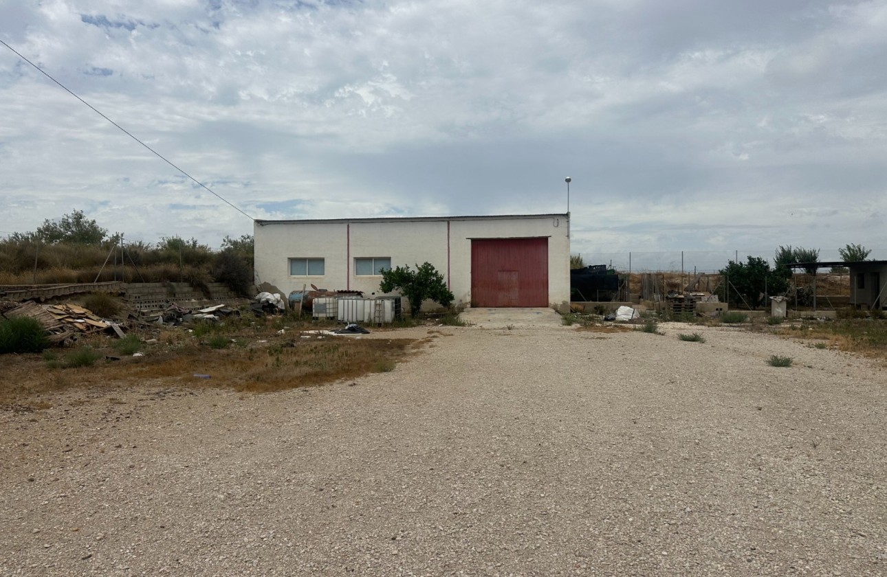 Revente - Industrial unit - Torremendo