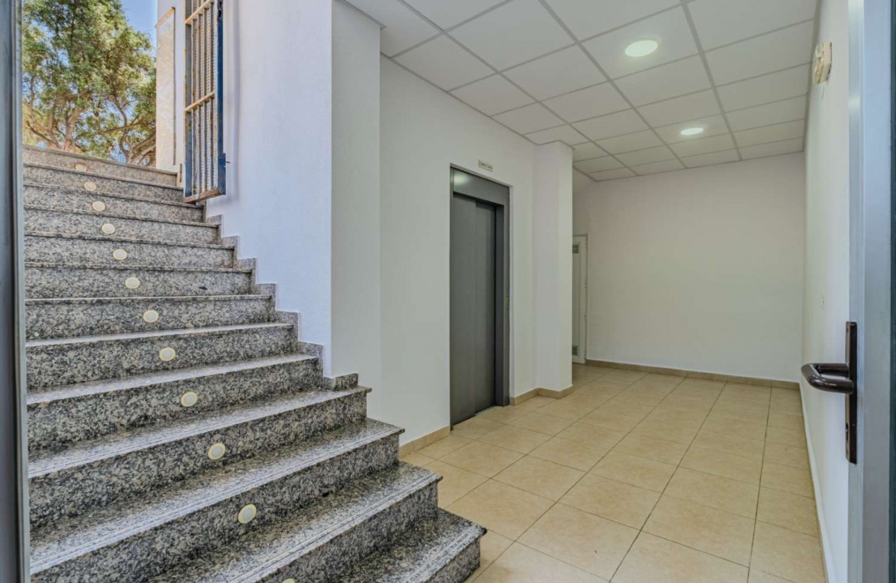 Revente - Local commercial - Torrevieja - Nueva Torrevieja - Aguas Nuevas