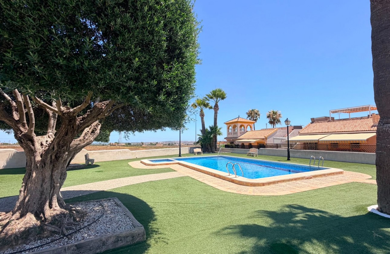 Revente - Maison mitoyenne - Los Montesinos - Urbanizacion montesol