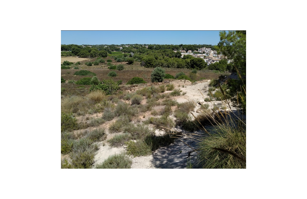 Revente - Terrain - Pinar de Campoverde