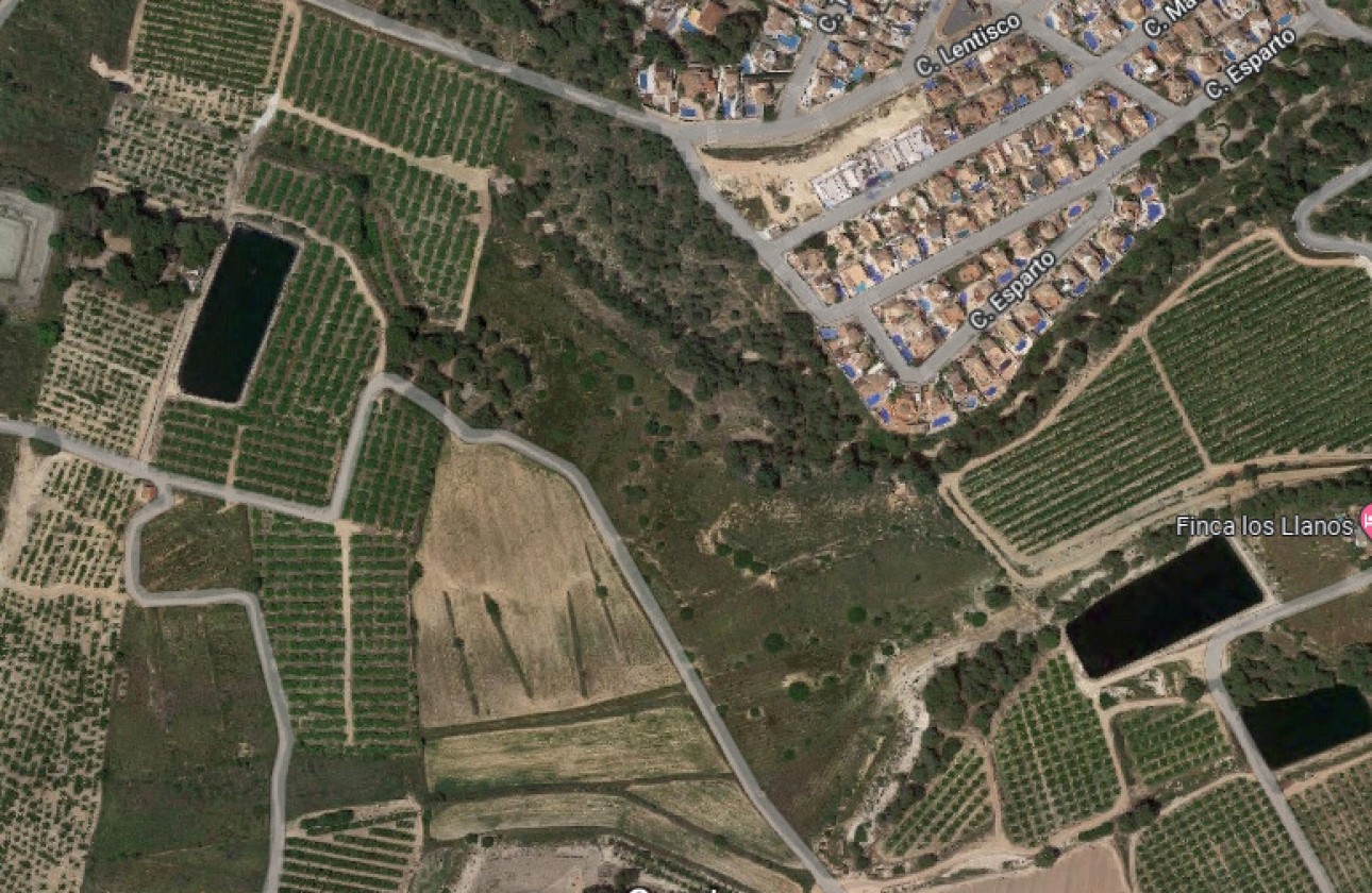 Revente - Terrain - Pinar de Campoverde