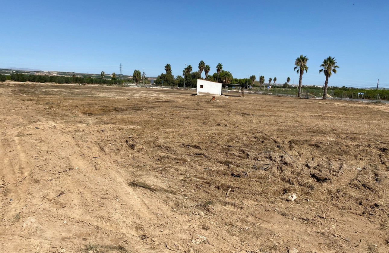 Revente - Terrain - San Miguel de Salinas - San Miguel Salinas