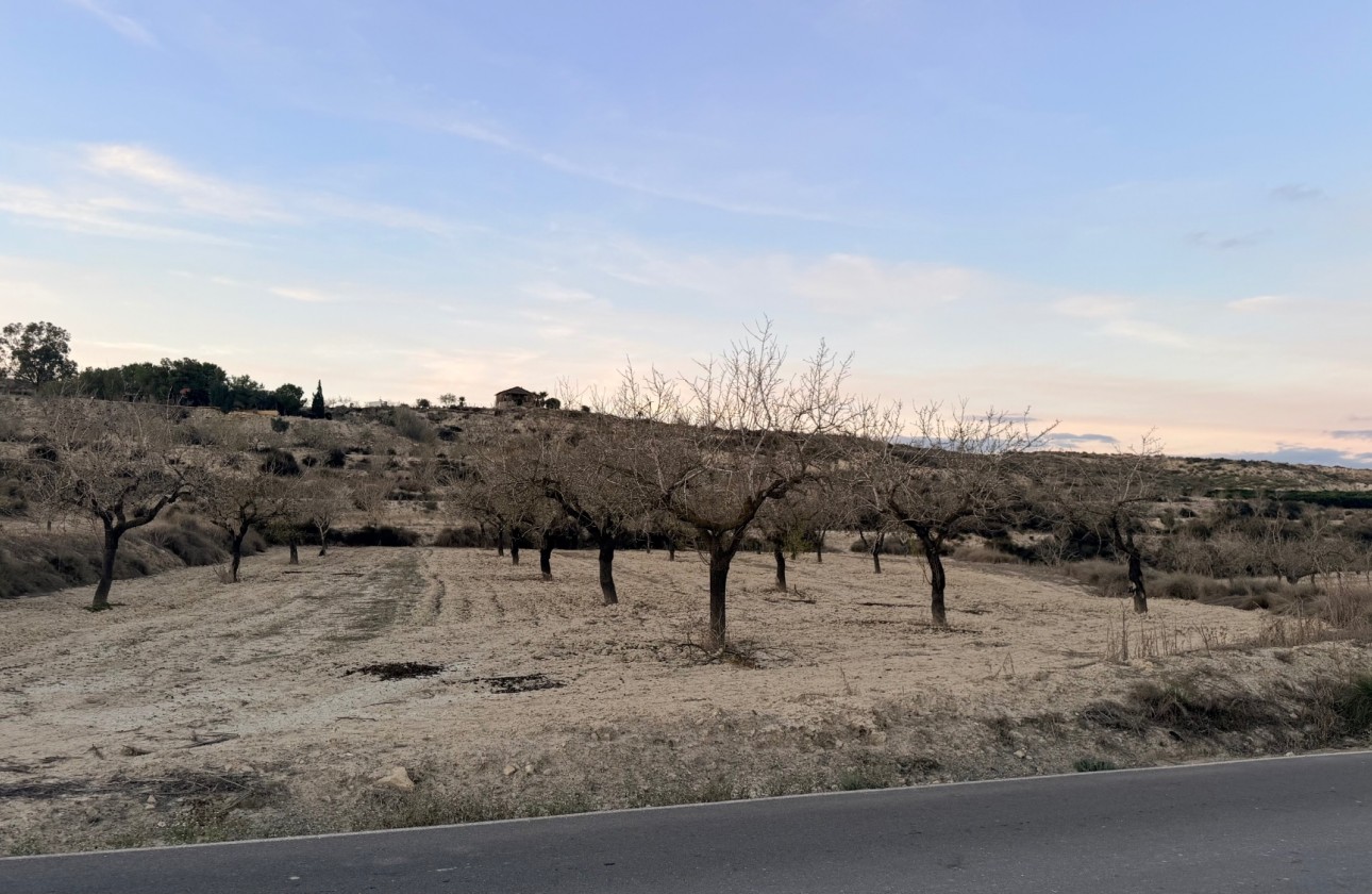 Revente - Terrain - Torremendo - Costa Blanca