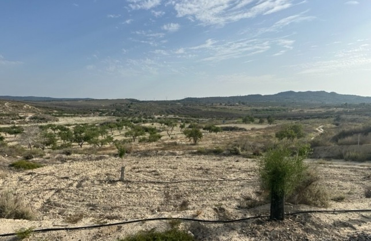 Revente - Terrain - Torremendo