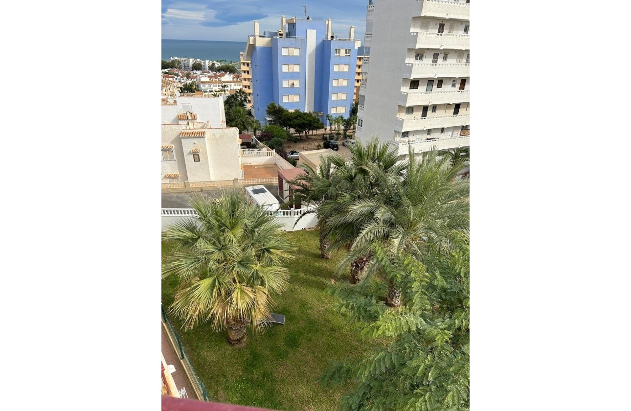 Revente -  - Torrevieja - Torreblanca