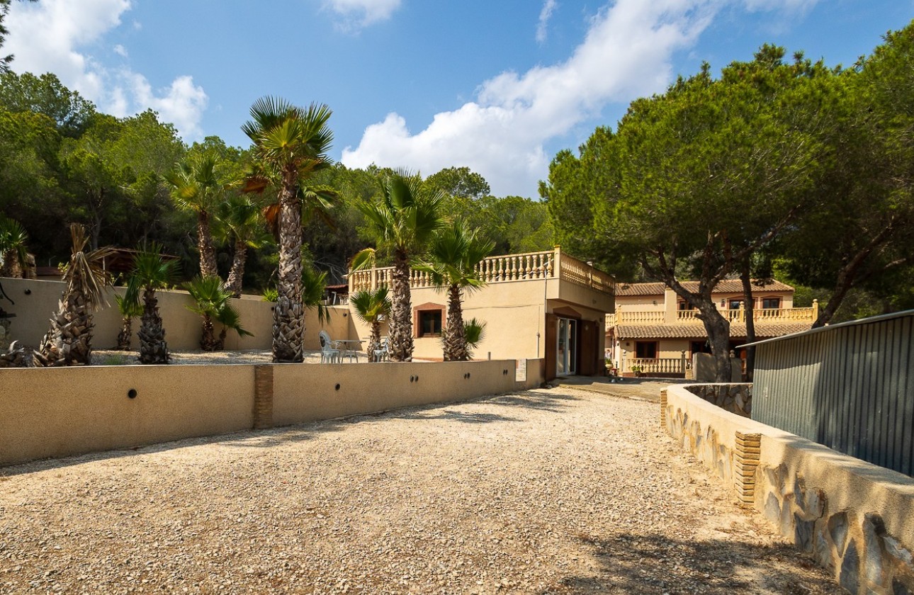 Revente - Villa - Torremendo