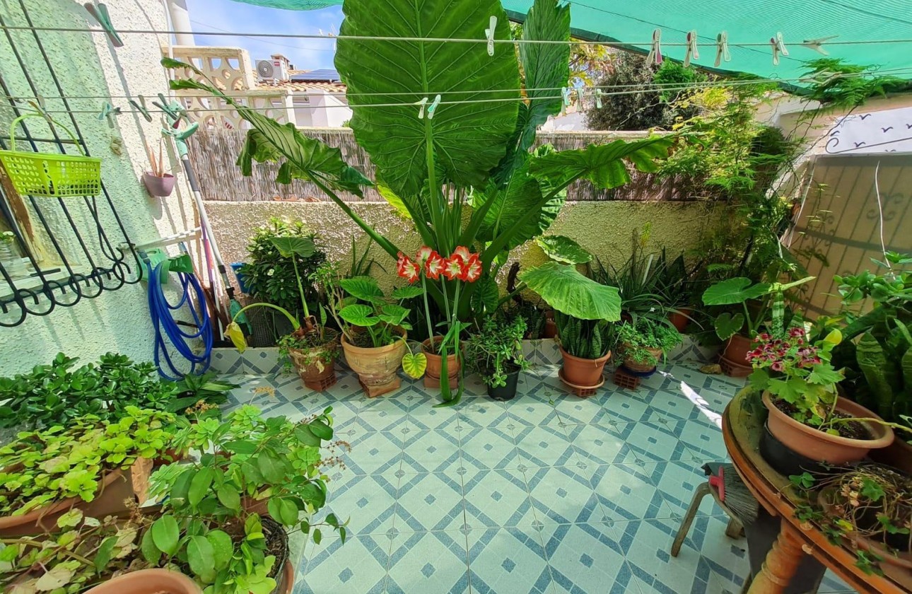 Segunda Mano - Adosado - Torrevieja - Playa del cura
