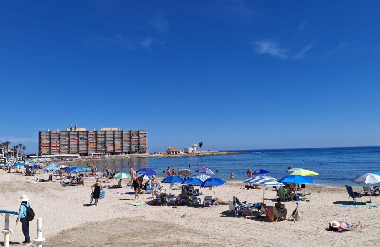 Segunda Mano - Apartament / Duplex - Torrevieja - Playa de los Locos