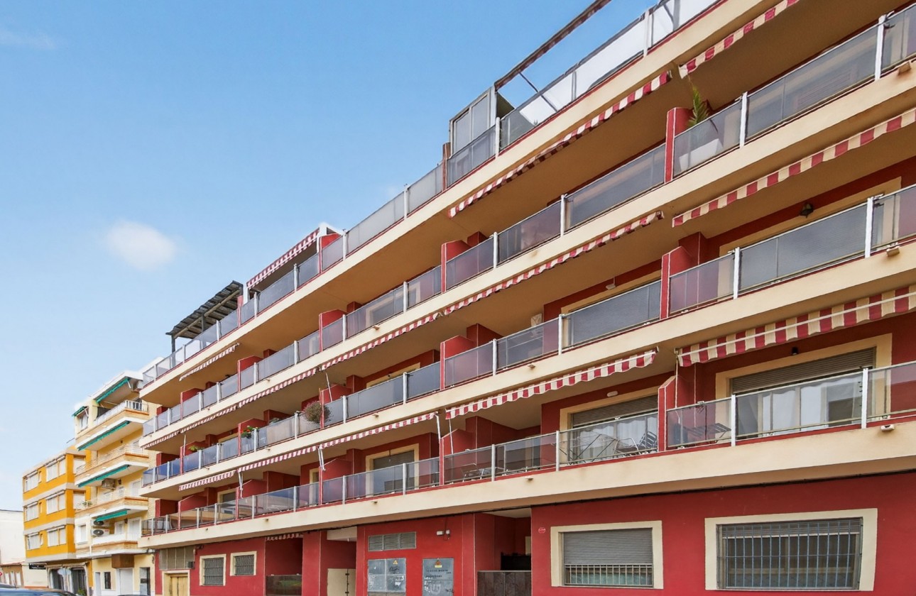 Segunda Mano - Apartamento - Guardamar del Segura - Centro