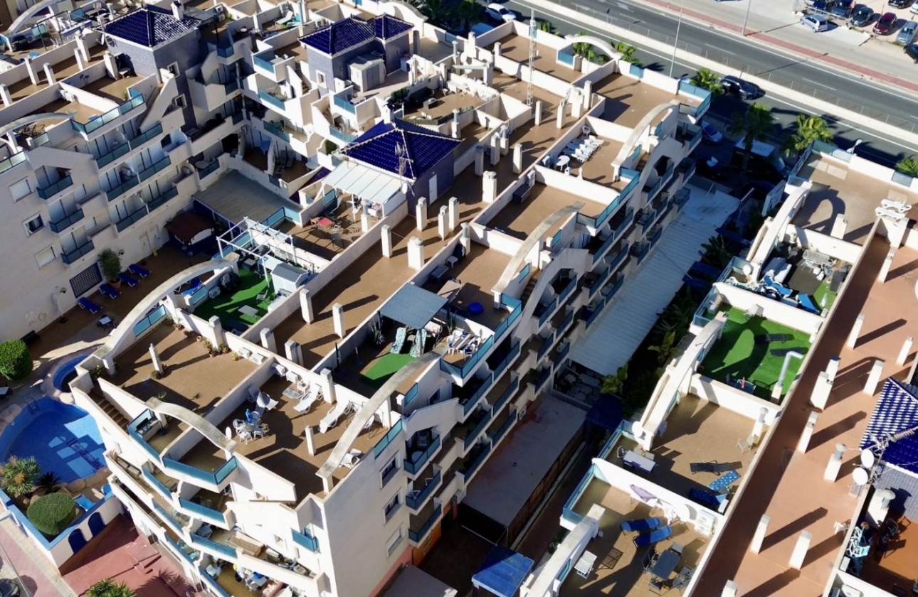 Segunda Mano - Apartamento - Orihuela Costa - Cabo Roig