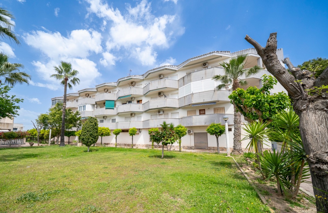 Segunda Mano - Apartamento - Orihuela Costa - Cabo Roig