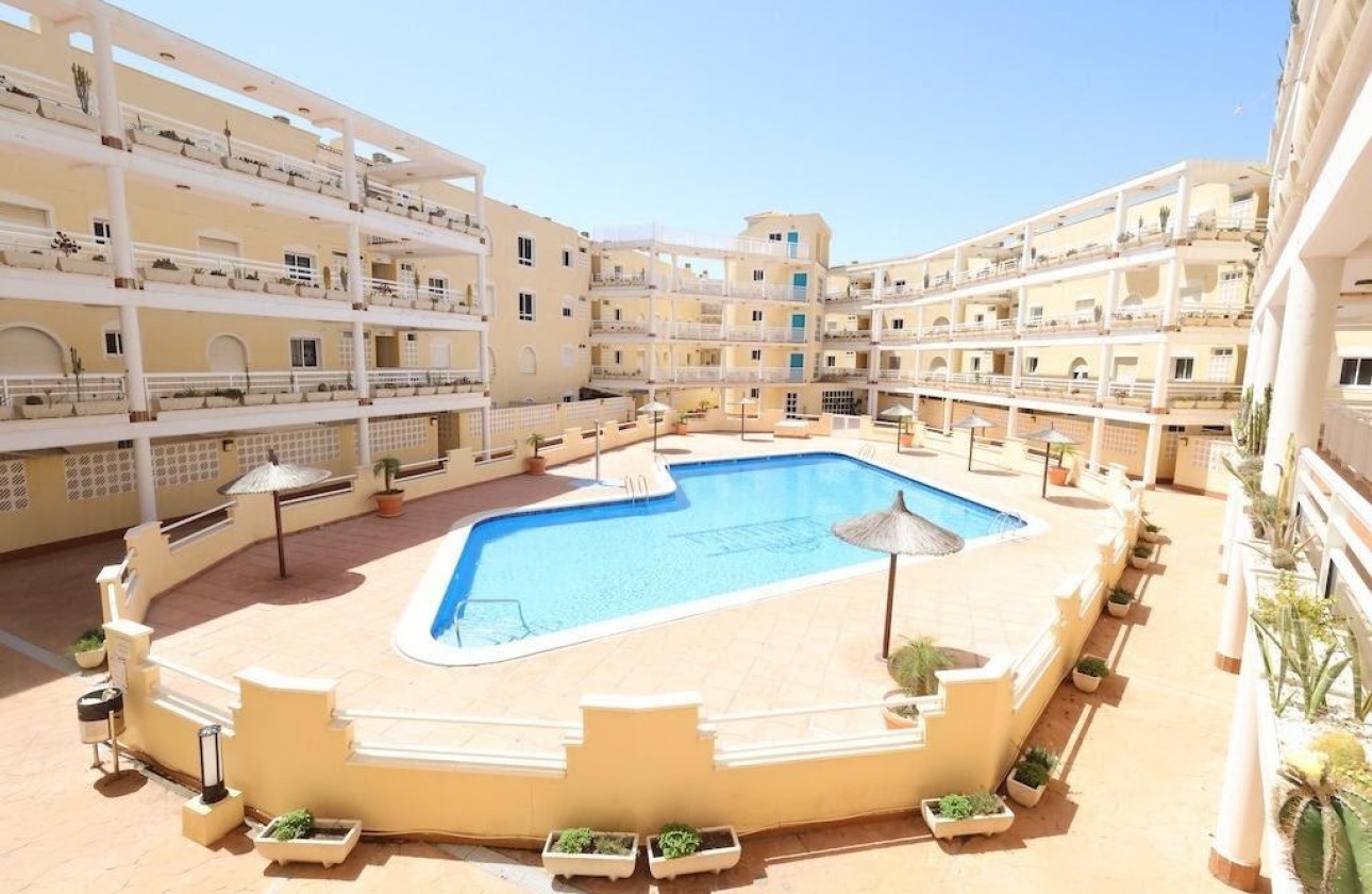 Segunda Mano - Apartamento - Orihuela Costa - Campoamor