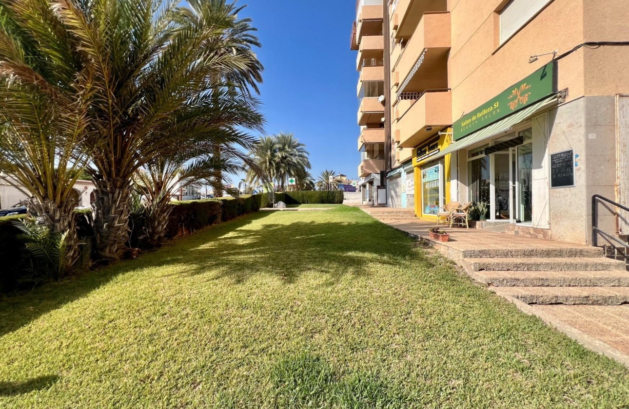 Segunda Mano - Apartamento - Orihuela Costa - La Zenia