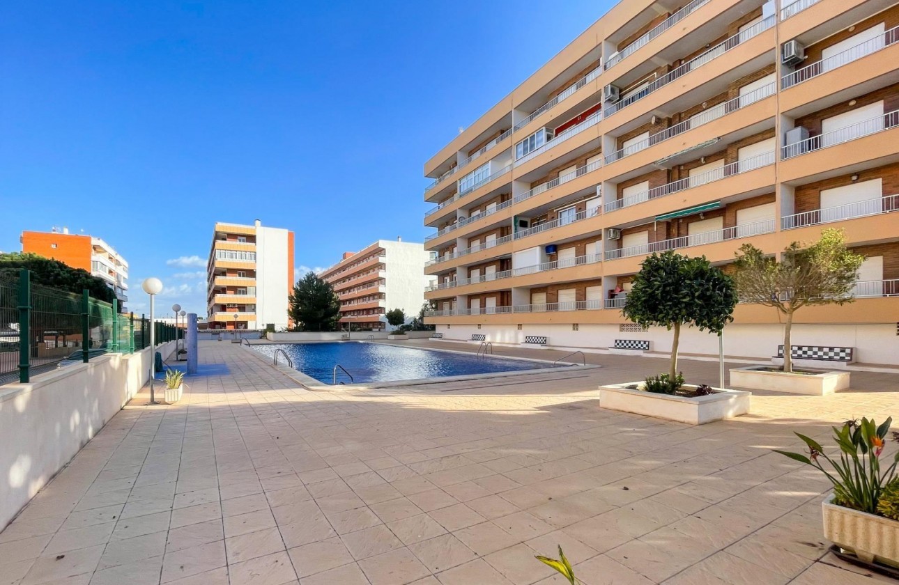 Segunda Mano - Apartamento - Orihuela Costa - Playa Flamenca