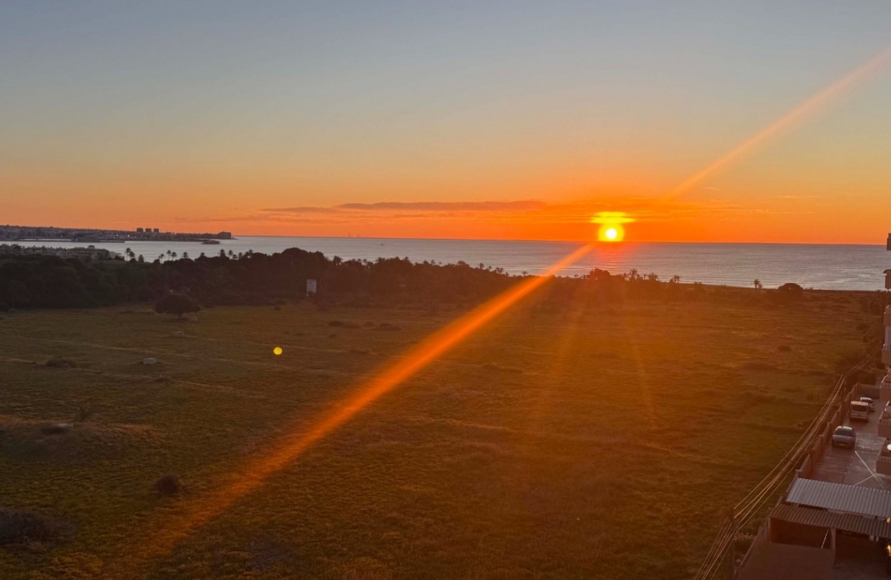 Segunda Mano - Apartamento - Orihuela Costa - Punta Prima