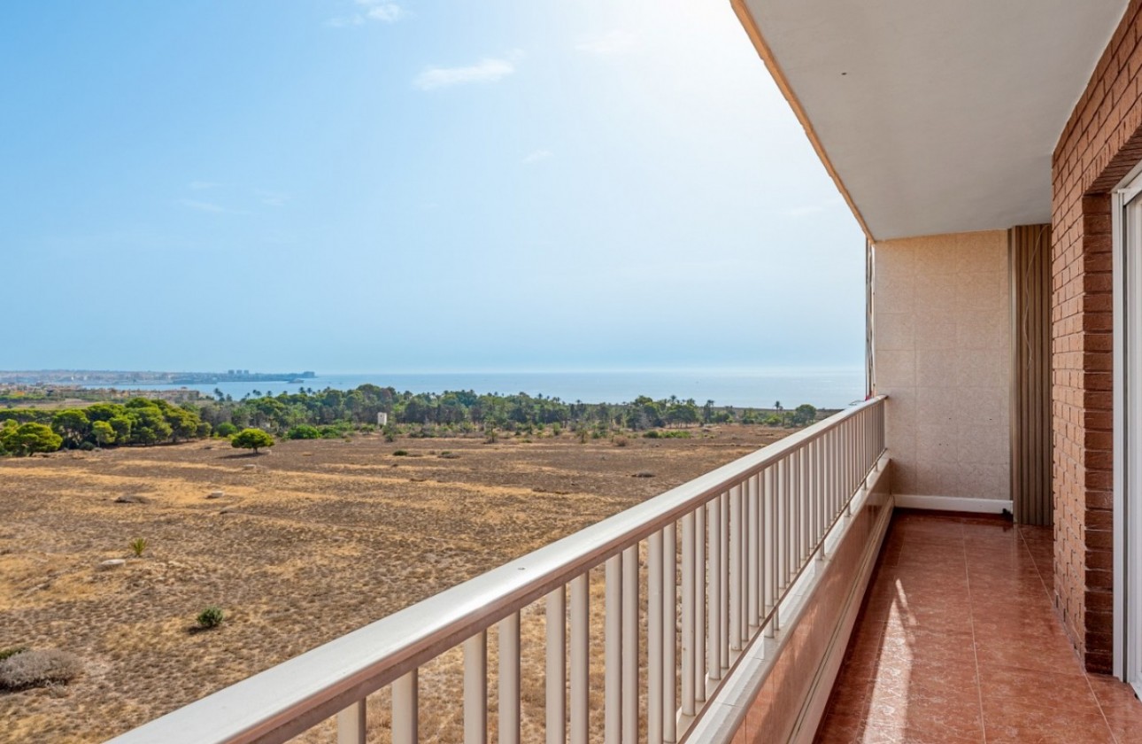 Segunda Mano - Apartamento - Orihuela Costa - Punta Prima