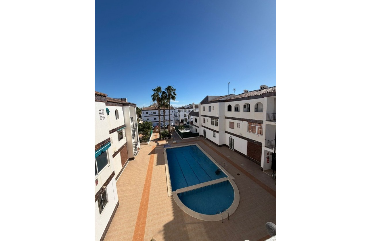 Segunda Mano - Apartamento - Orihuela Costa - Punta Prima