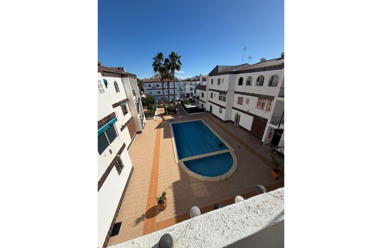 Segunda Mano - Apartamento - Orihuela Costa - Punta Prima