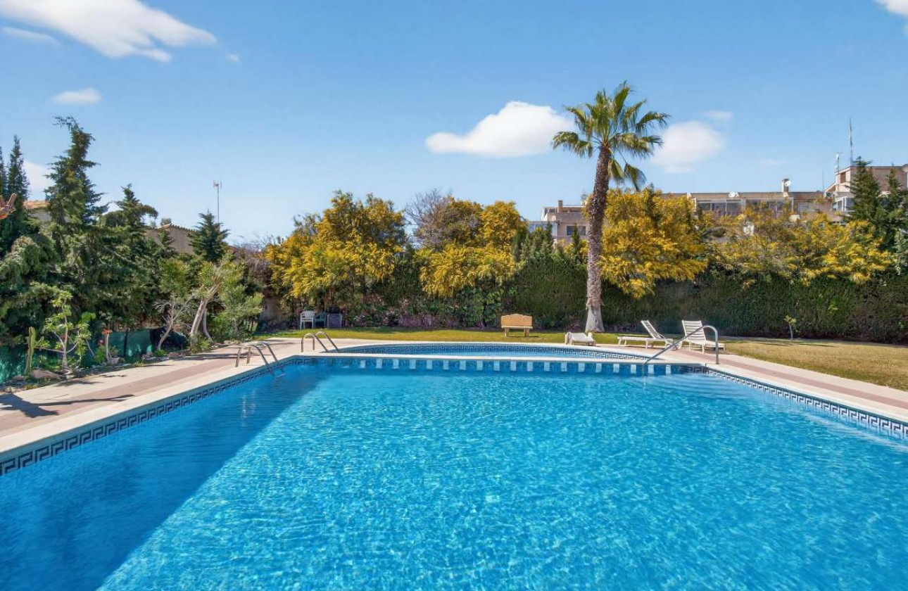 Segunda Mano - Apartamento - Punta Prima - Costa Blanca