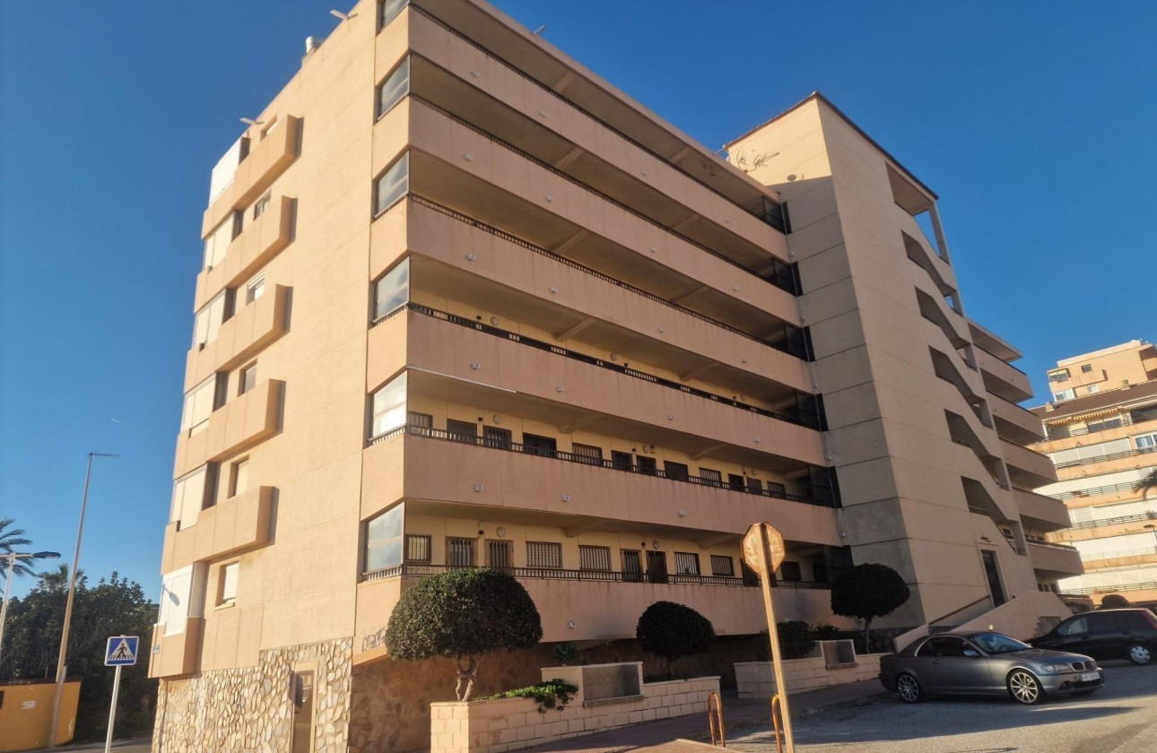 Segunda Mano - Apartamento - Torrevieja - Cabo cervera