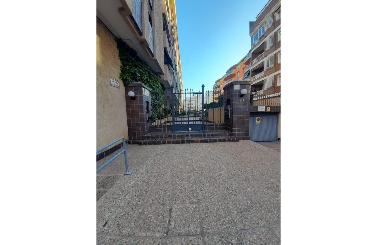 Segunda Mano - Apartamento - Torrevieja - Centro