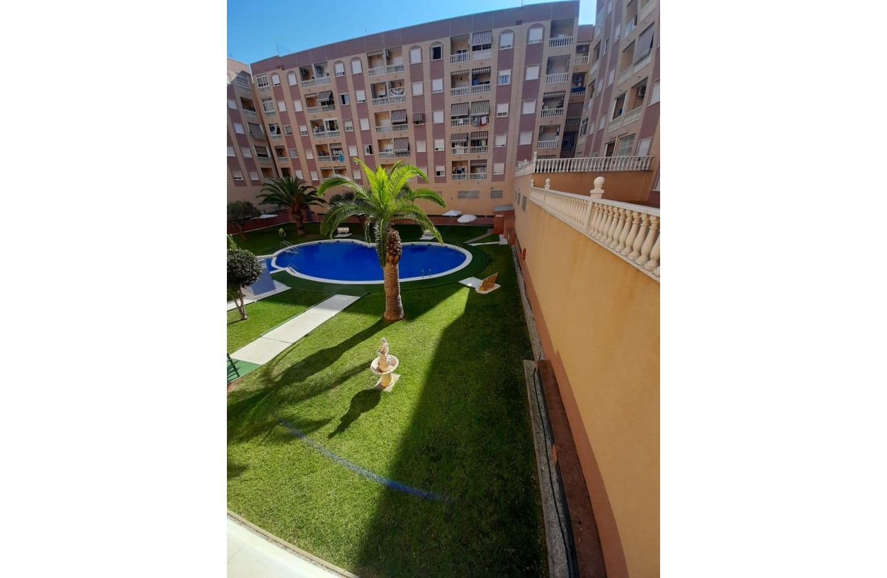 Segunda Mano - Apartamento - Torrevieja - Centro