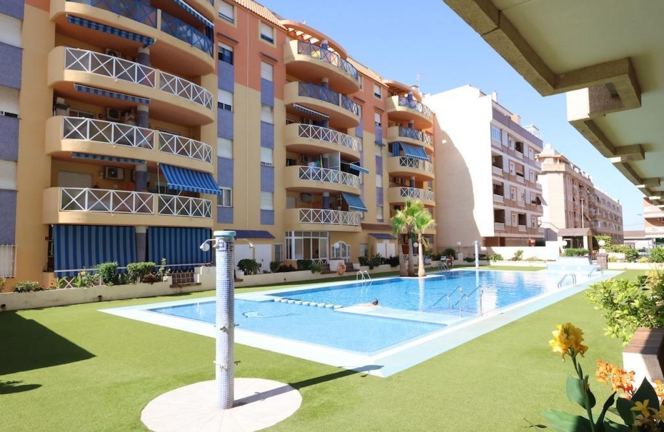 Segunda Mano - Apartamento - Torrevieja - Centro