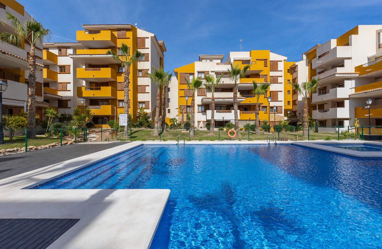 Segunda Mano - Apartamento - Torrevieja - Costa Blanca
